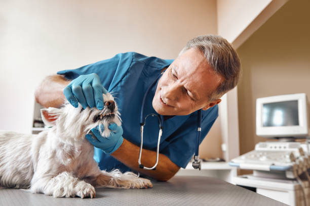 Best Emergency Broken Tooth Repair in Thousand Palms, CA